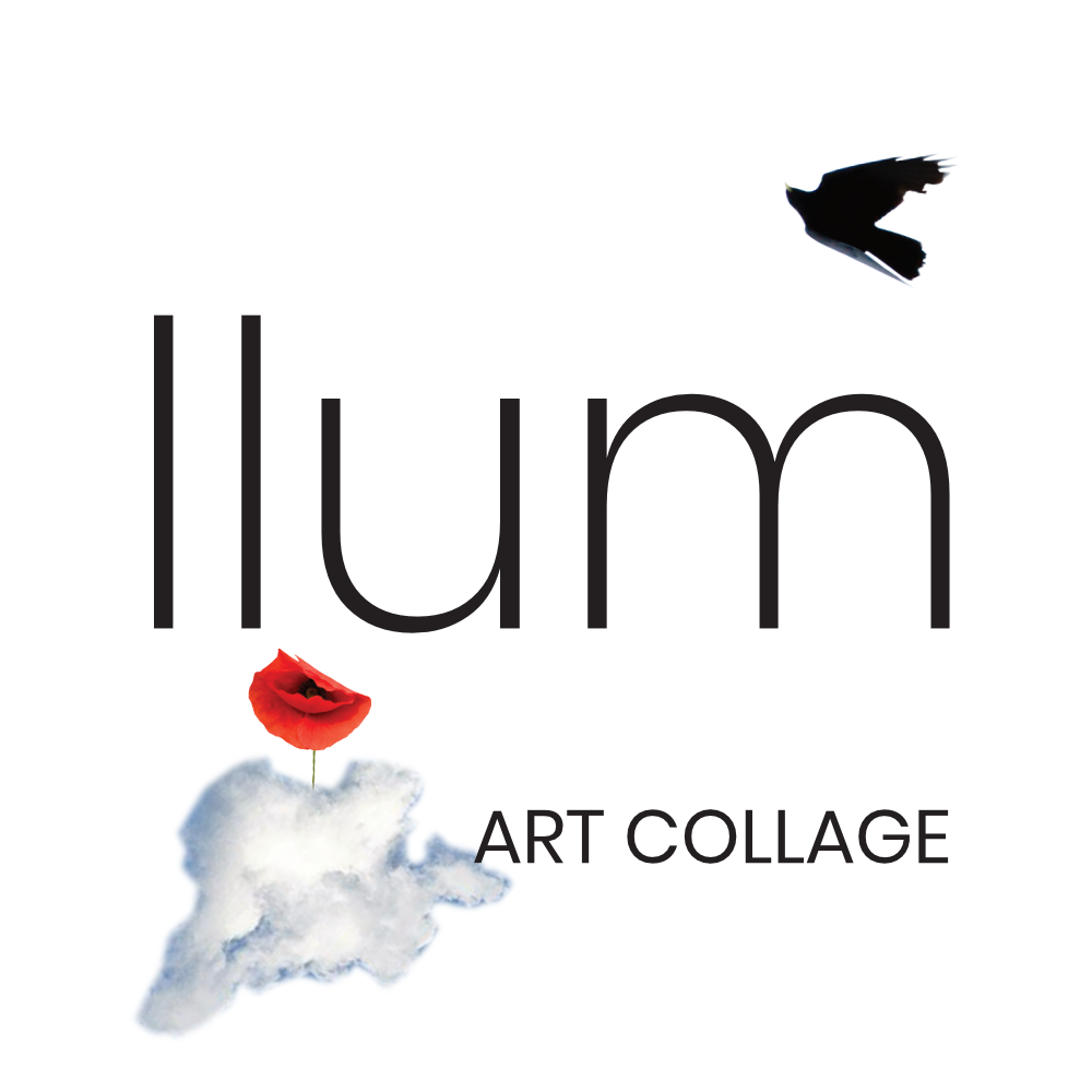 Llum´s Pictures