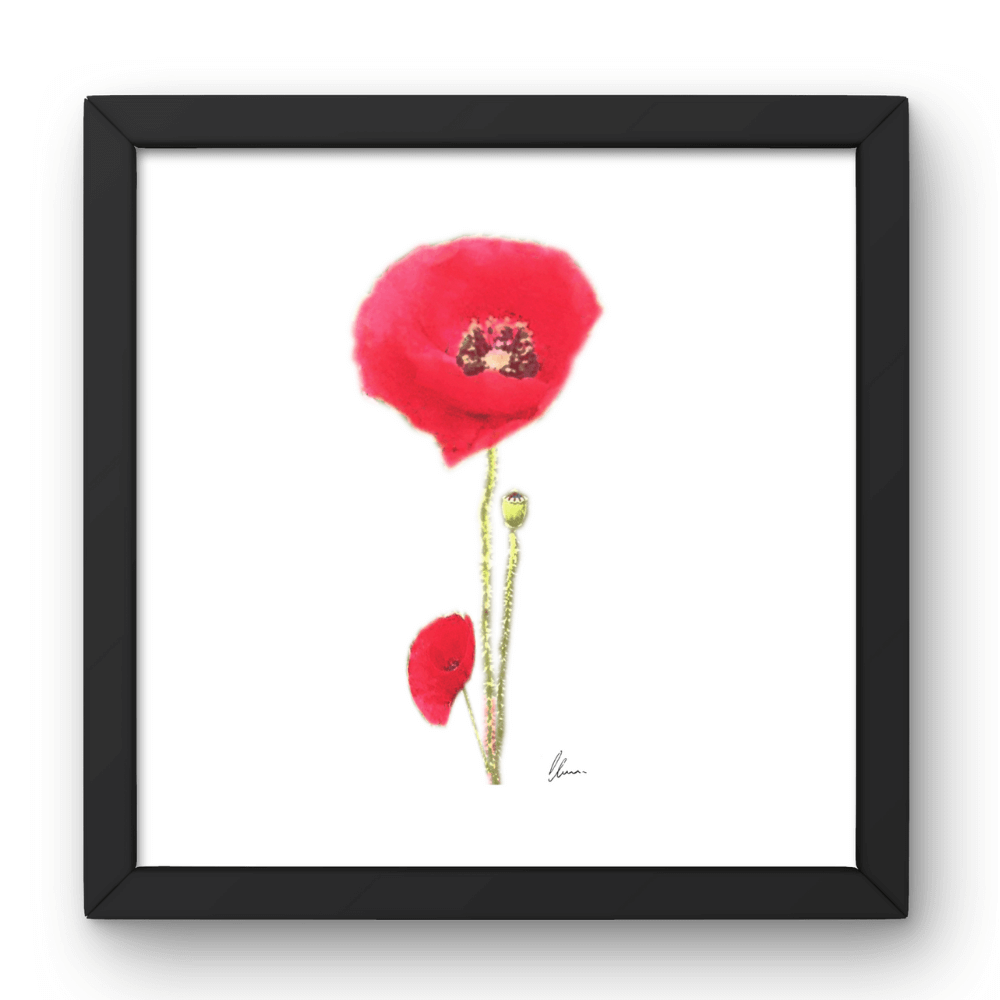 Cuadros decorativos, láminas y posters online para tu hogar