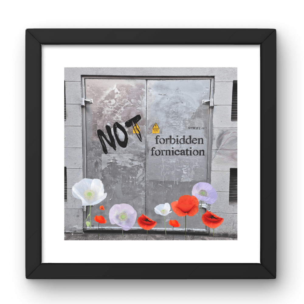 Como decorar las paredes de tu casa a buen precio