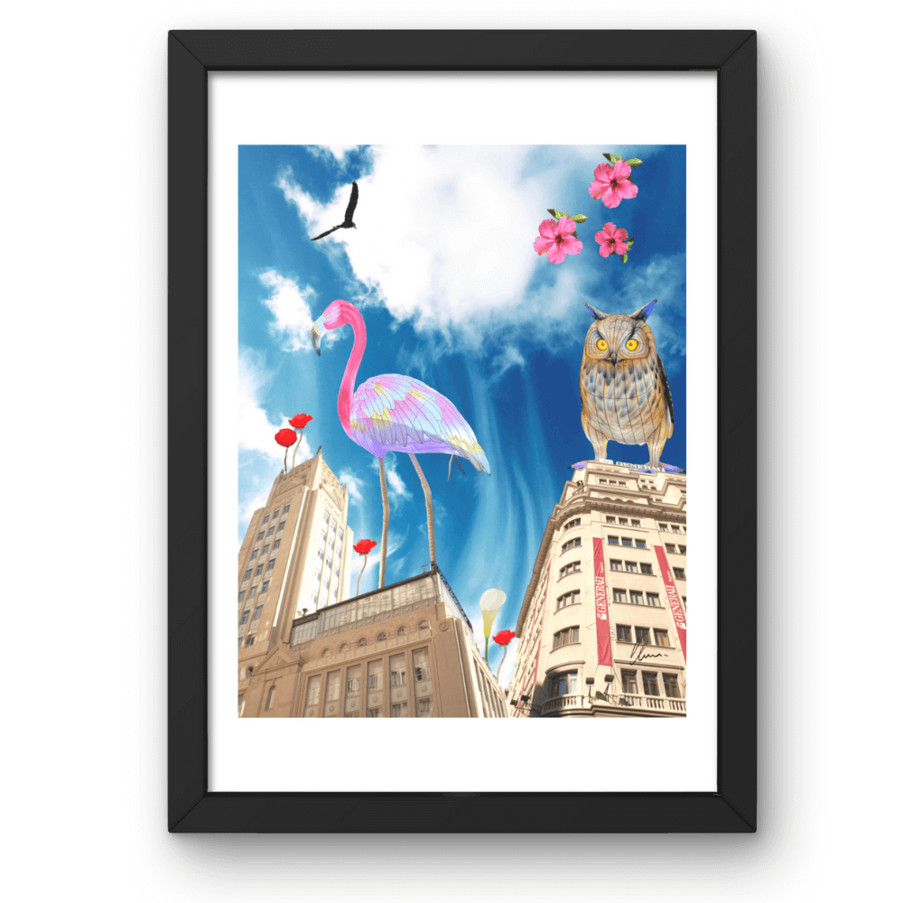 Posters e ilustraciones originales para decorar la casa