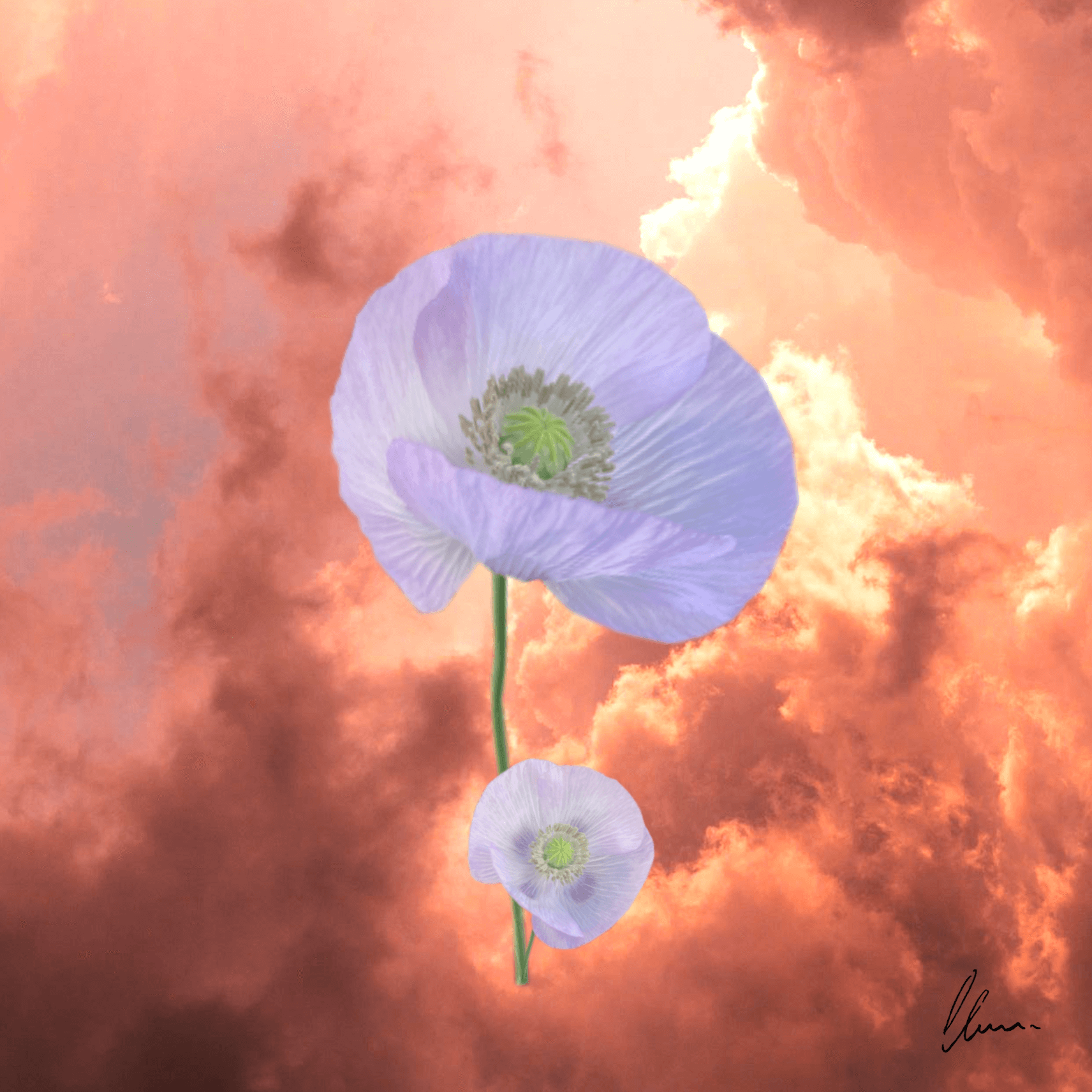 Collage de fotos originales y bonitas